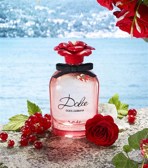 dolce and gabbana rose collection